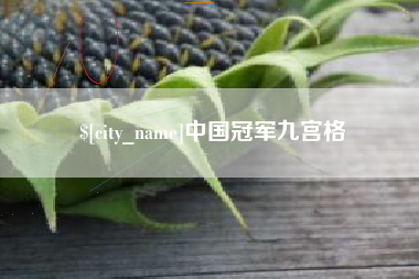 孟津中国冠军九宫格