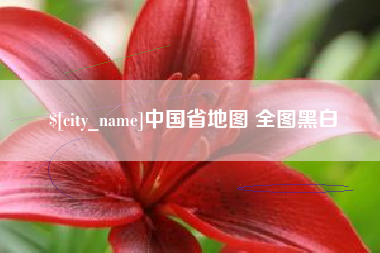 孟津中国省地图 全图黑白