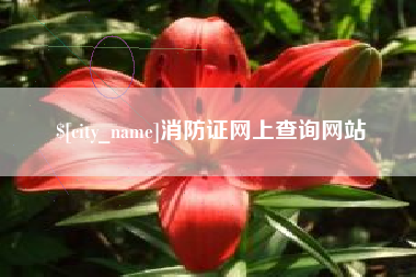 孟津消防证网上查询网站