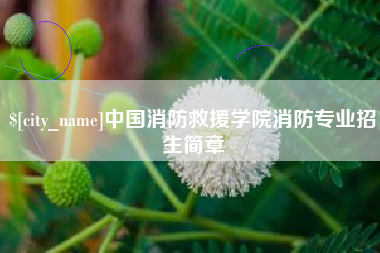 孟津中国消防救援学院消防专业招生简章