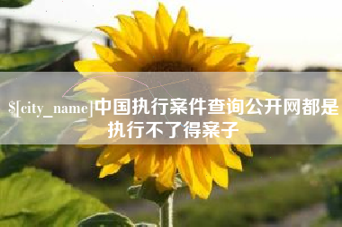 孟津中国执行案件查询公开网都是执行不了得案子