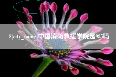 孟津中国消防救援学院是985吗