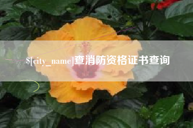 孟津查消防资格证书查询