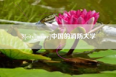 孟津中国的消防大学