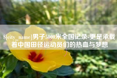 孟津男子5000米全国记录-更是承载着中国田径运动员们的热血与梦想