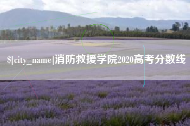 孟津消防救援学院2020高考分数线