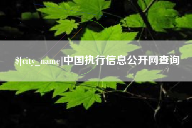 孟津中国执行信息公开网查询