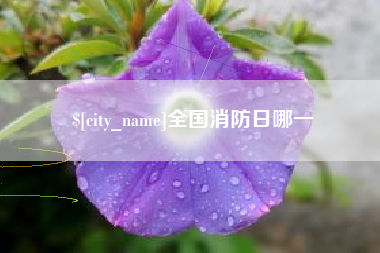 孟津全国消防日哪一