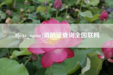 孟津消防证查询全国联网