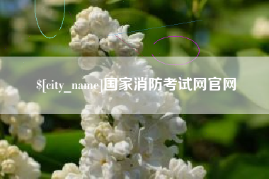 孟津国家消防考试网官网