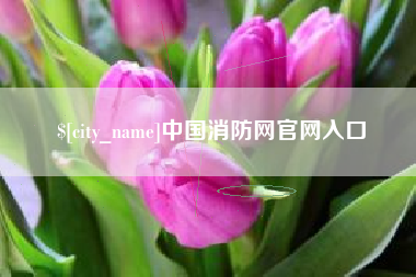 孟津中国消防网官网入口