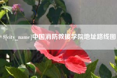 孟津中国消防救援学院地址路线图