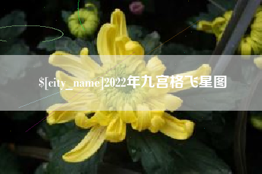 孟津2022年九宫格飞星图