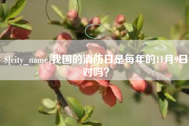 孟津我国的消防日是每年的11月9日对吗？