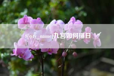 孟津九宫如何排日