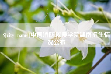 孟津中国消防救援学院湖南招生情况公布