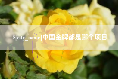 孟津中国金牌都是哪个项目