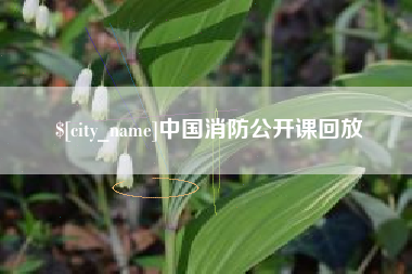 孟津中国消防公开课回放