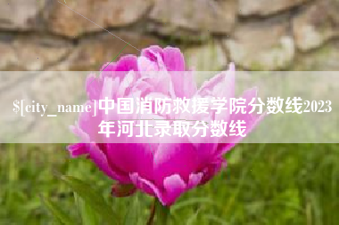 孟津中国消防救援学院分数线2023年河北录取分数线