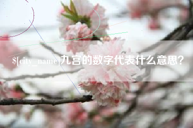孟津九宫的数字代表什么意思？