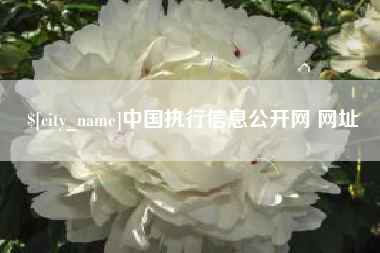孟津中国执行信息公开网 网址