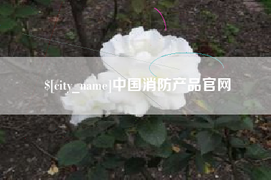 孟津中国消防产品官网