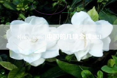 孟津中国的几块金牌2021