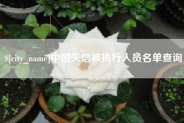 孟津中国失信被执行人员名单查询