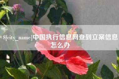 孟津中国执行信息网查到立案信息怎么办