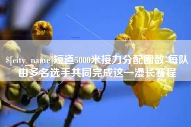 孟津短道5000米接力分配圈数-每队由多名选手共同完成这一漫长赛程