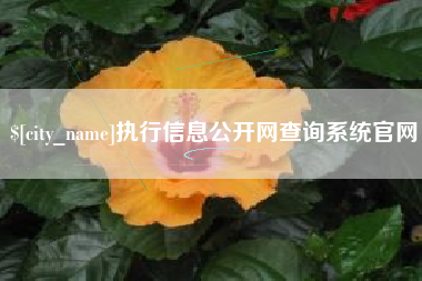 孟津执行信息公开网查询系统官网