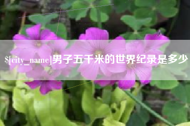 孟津男子五千米的世界纪录是多少