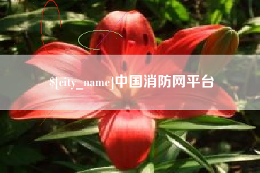 孟津中国消防网平台
