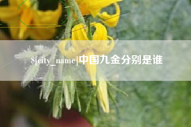 孟津中国九金分别是谁