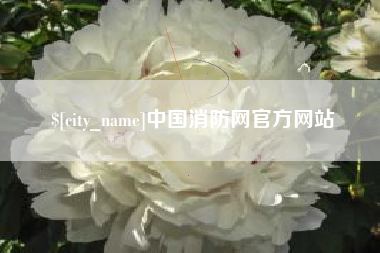 孟津中国消防网官方网站