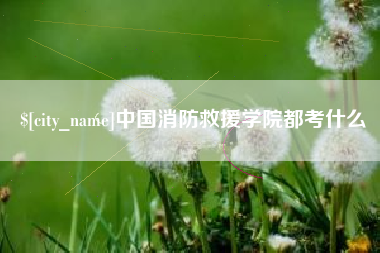 孟津中国消防救援学院都考什么