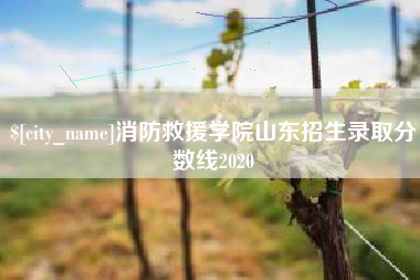孟津消防救援学院山东招生录取分数线2020