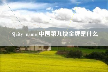 孟津中国第九块金牌是什么