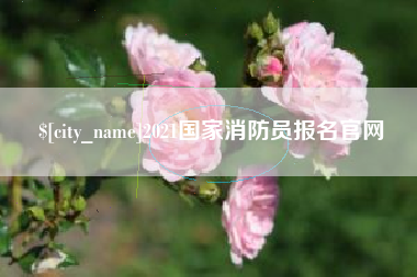 孟津2021国家消防员报名官网