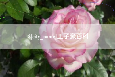 孟津王子豪百科
