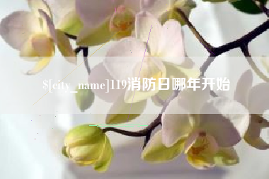 孟津119消防日哪年开始