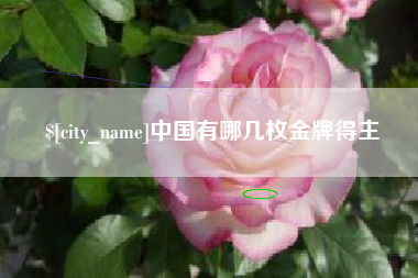 孟津中国有哪几枚金牌得主