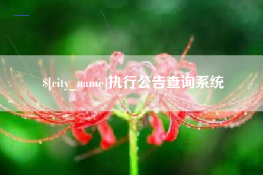 孟津执行公告查询系统