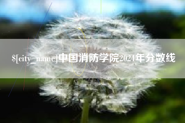 孟津中国消防学院2024年分数线