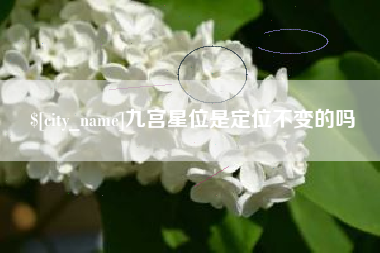 孟津九宫星位是定位不变的吗
