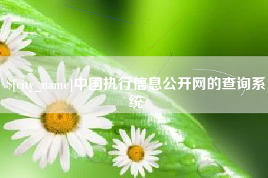 孟津中国执行信息公开网的查询系统