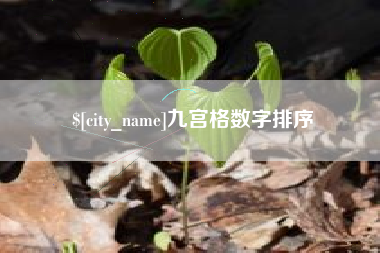 孟津九宫格数字排序