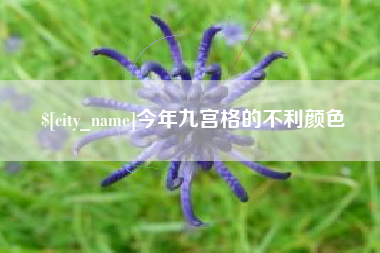 孟津今年九宫格的不利颜色