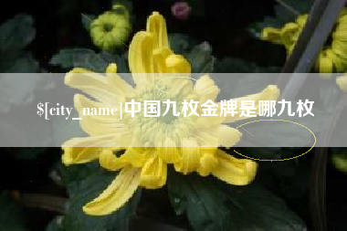 孟津中国九枚金牌是哪九枚