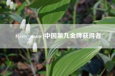 孟津中国第九金牌获得者